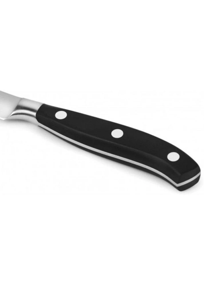 Кухонный нож Grand Maitre 12 см (m42579) Victorinox Grand Maitre 12 см комбинированные,