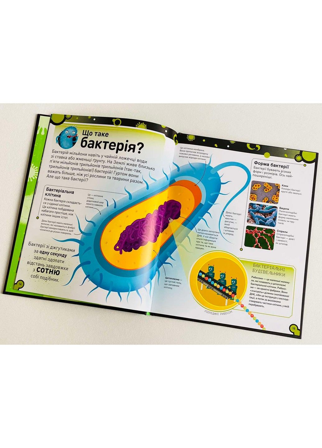 Невиданные бактерии. Вызывающие бациллы, коварные вирусы и хитрые грибы. Молд Стив РАНОК (297214617)
