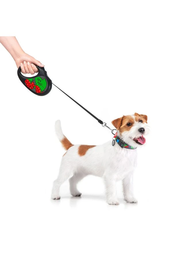 Повідець-рулетка для собак WAUDOG R-leash, малюнок "Калина", M, до 25 кг, 5 м, світловідбиваюча стрічка чорний No Brand (400105924)