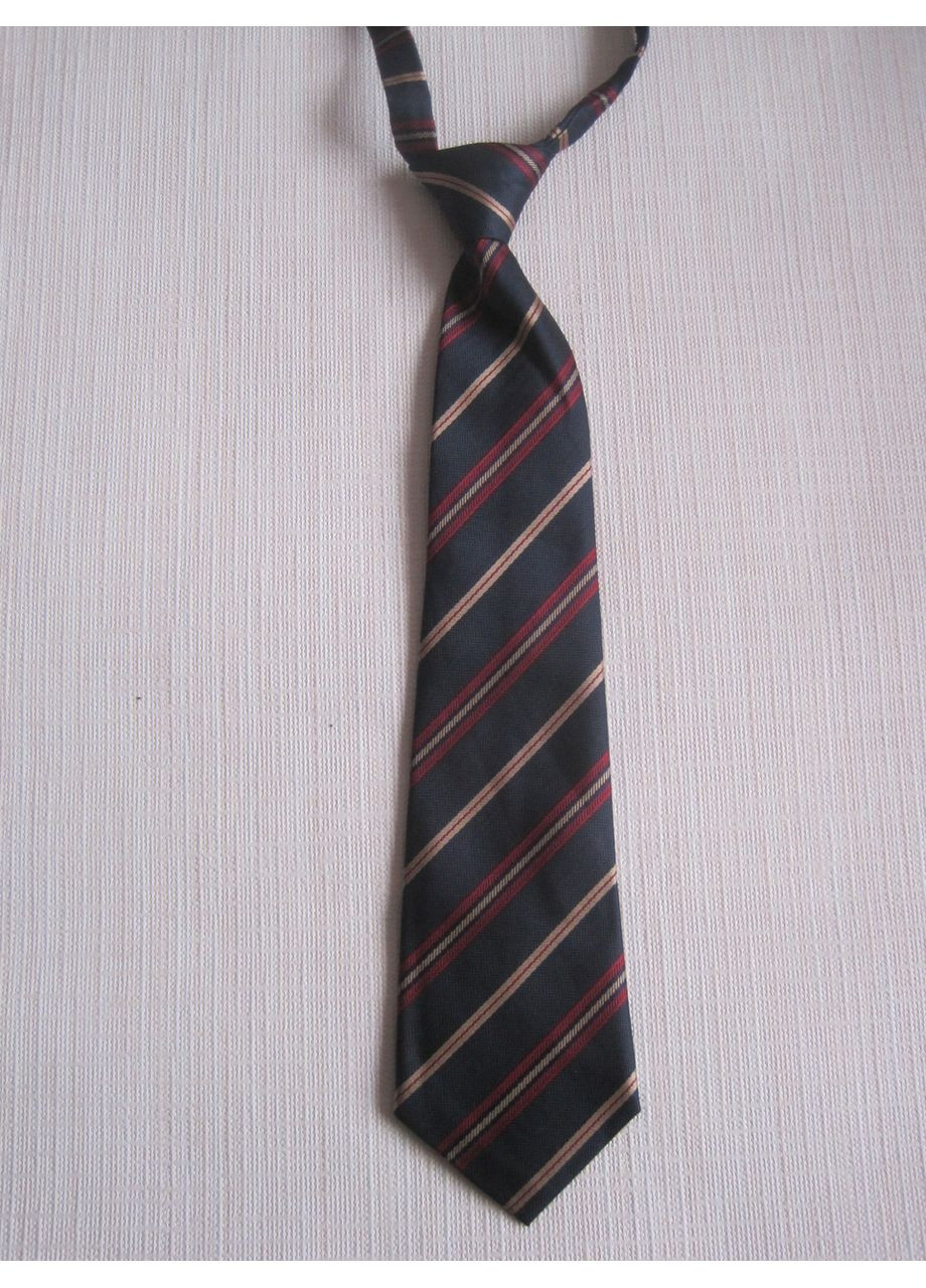 Галстук на резиночке (30к035/1) No Brand (369667341)