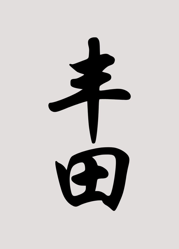 Вінілова наклейка на автомобіль Ієрогліф - Toyota | Тойота та монтажна плівка 10x4 см No Brand (300860392)