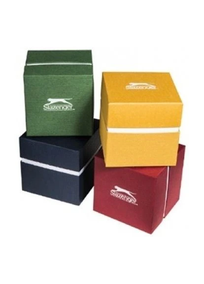 Мужские наручные часы Slazenger SL.09.6199.2.02 (322685414)