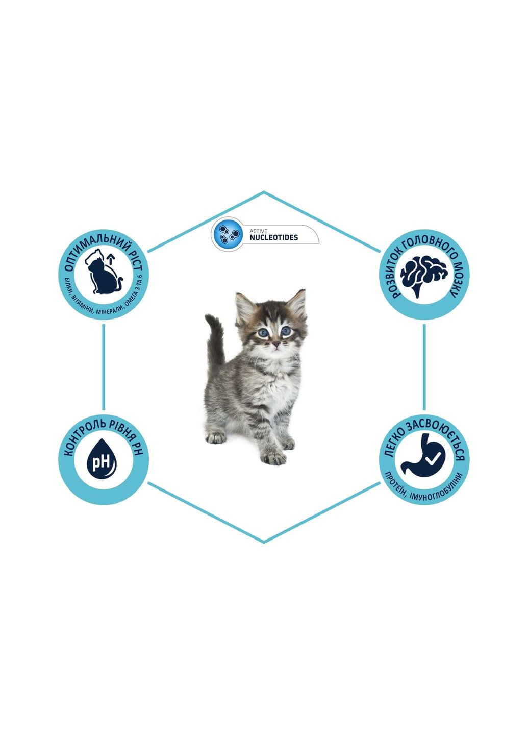 Kitten Chicken & Rice Сухий корм для кошенят з куркою Advance (372158915)