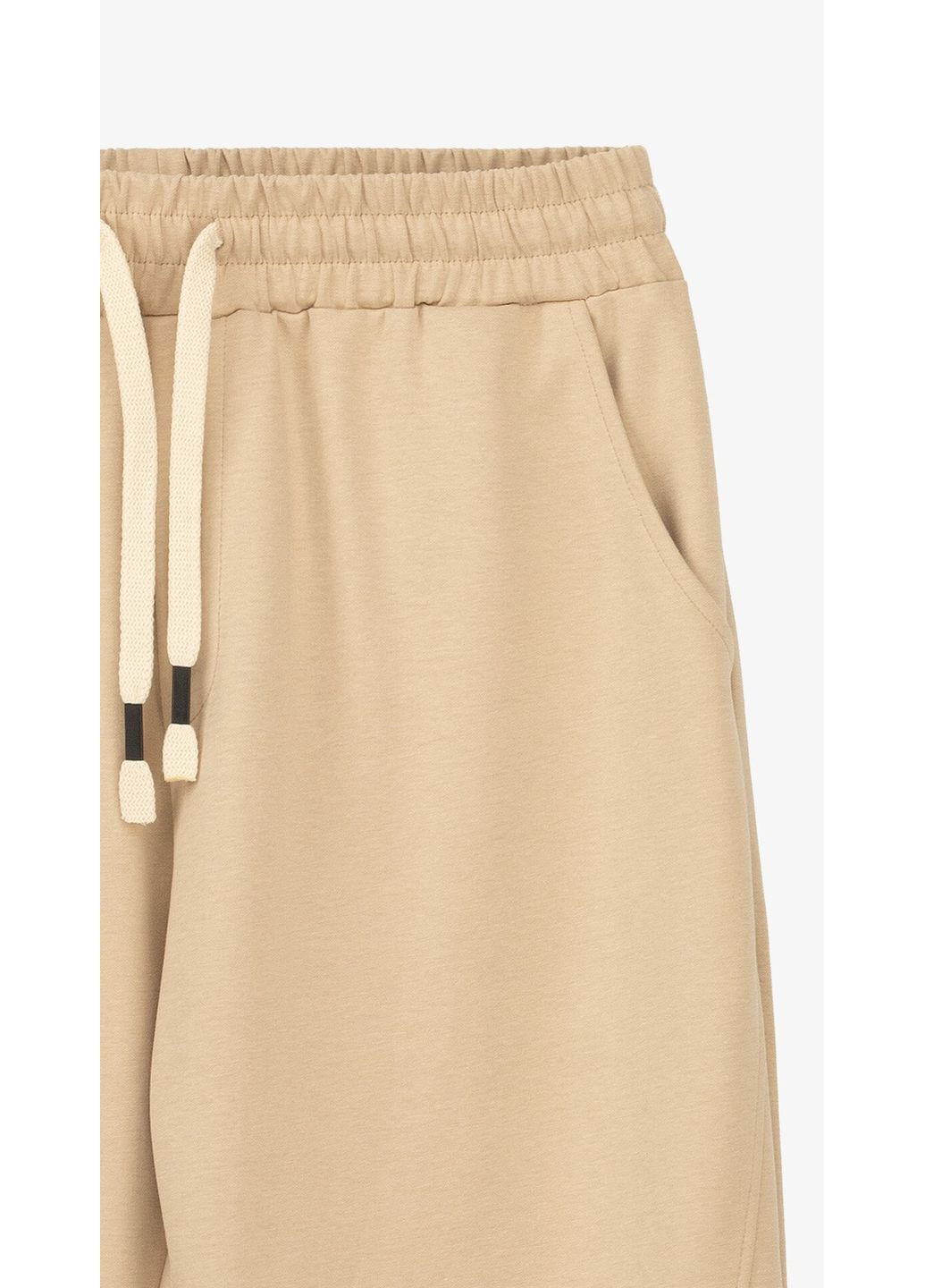 Спортивні штани чоловічі FK503 shop (2000999195136) Demos (351856523)