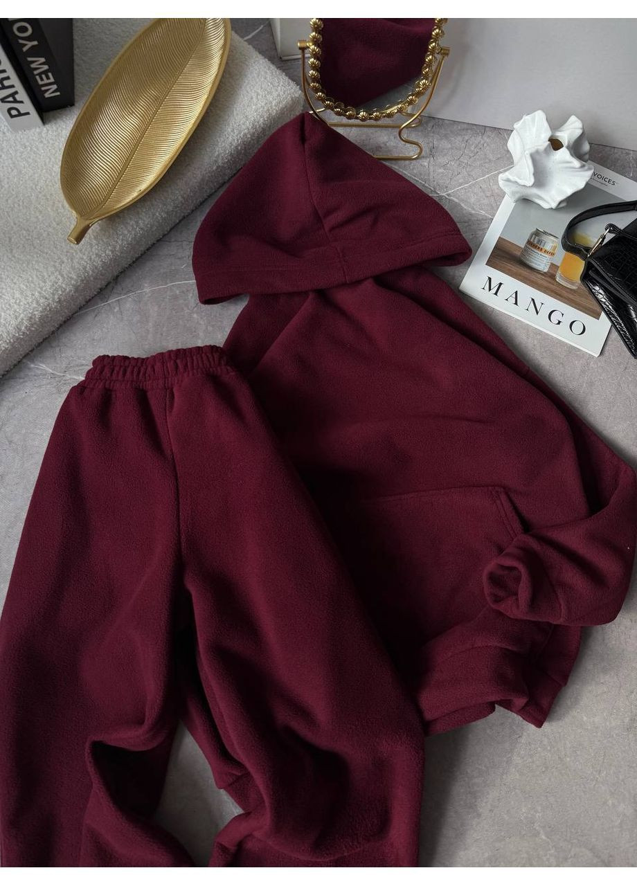 Жіночий зимовий костюм худі та джогери з флісу Polar Nositi 1842-13 (365701117)