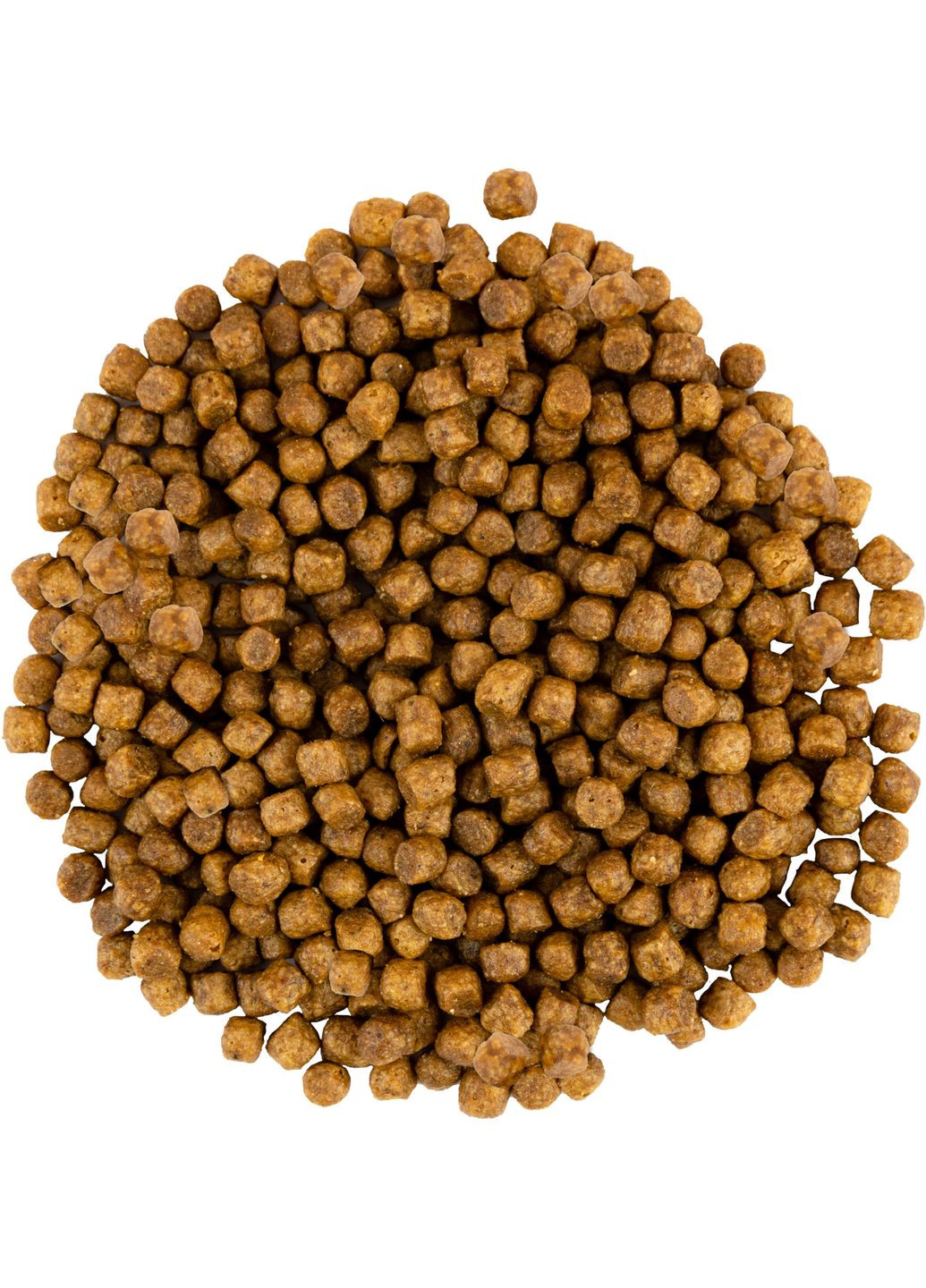 Сухий корм для кошенят Зі свіжим м'ясом індички та курки 2 кг (4820232630143) Savory (279567692)