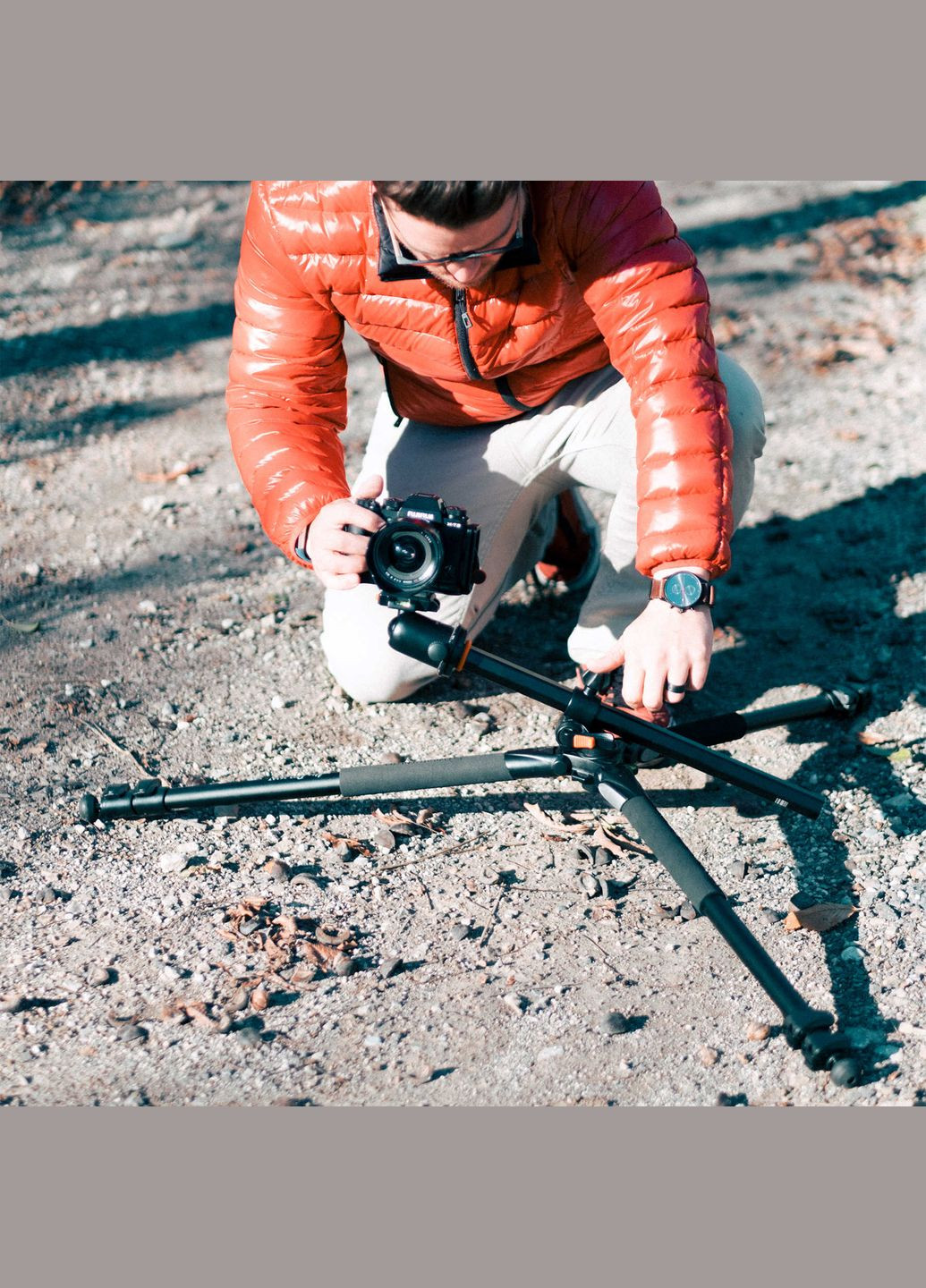 Штатив Alta Pro 263AB 100 (Alta Pro 263AB 100) Vanguard (315341722)