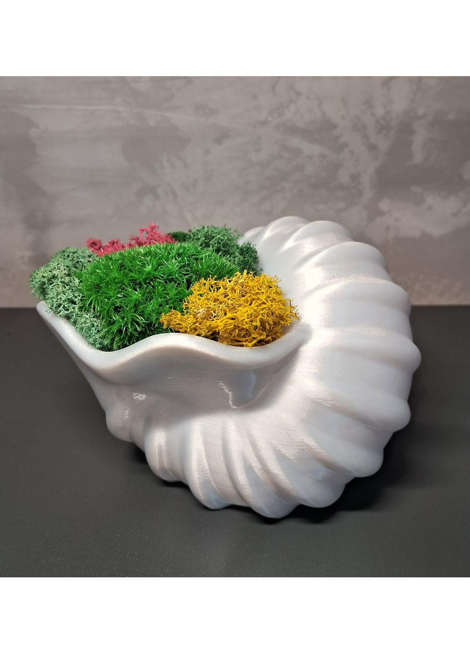 Кашпо "Мушля" з стабілізованим мохом – 3D декор із природним настроєм No Brand (372186022)