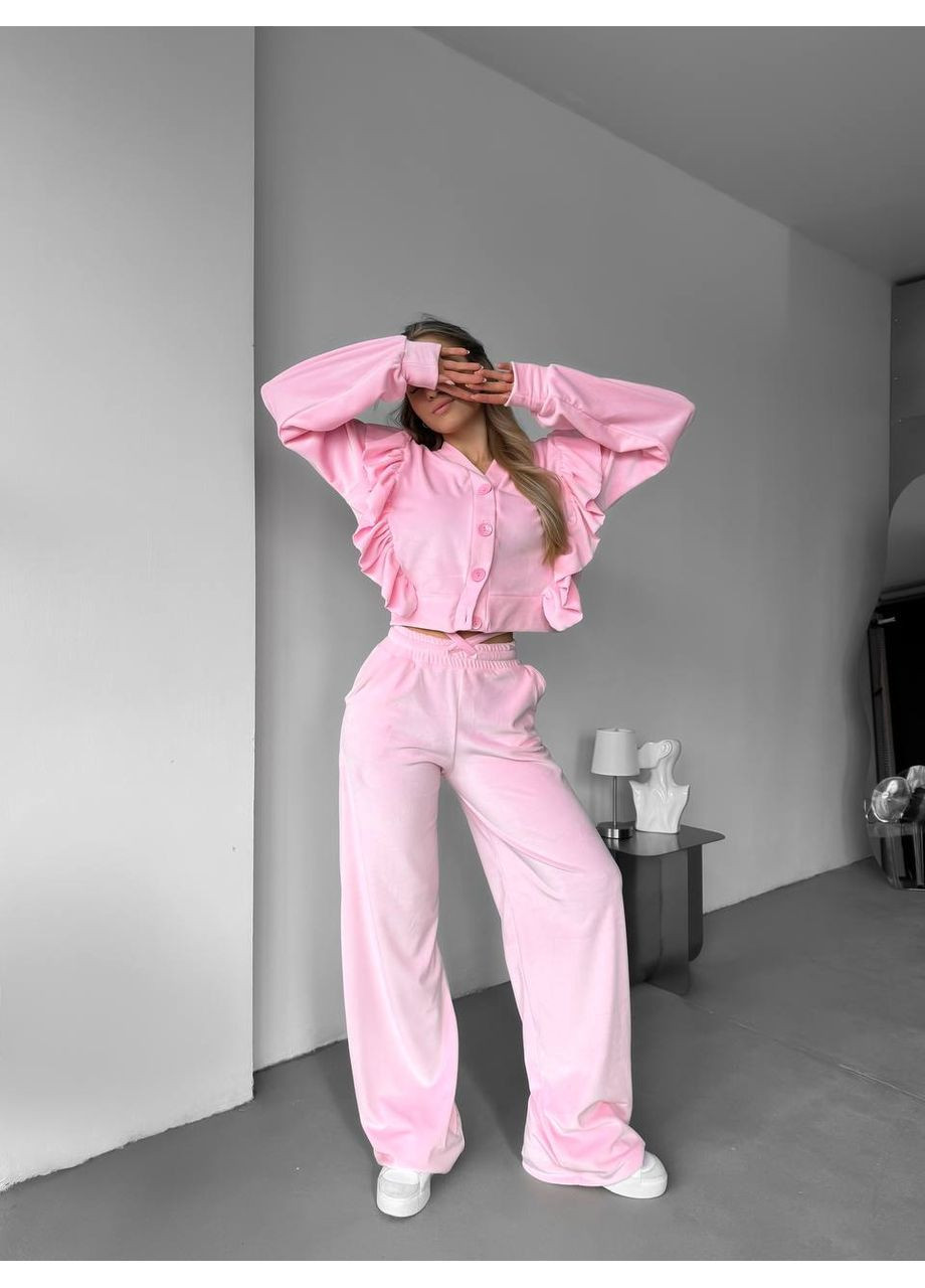 Жіночий стильний велюровий костюм Україна (354824104)