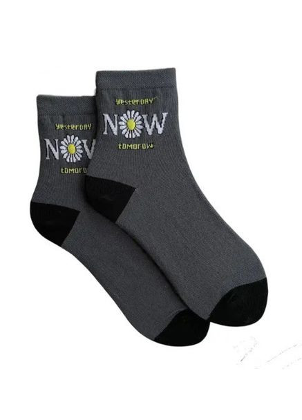 Білі шкарпетки з написом yesterday now tomorrow безшовні organic cotton 35-37 JILL ANTONY (314997168)