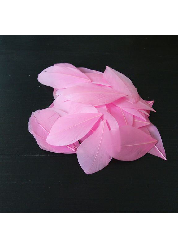 Перья гусиные для рукоделия 5-7 см, ∼50шт - розовый Plus-plus (354794049)