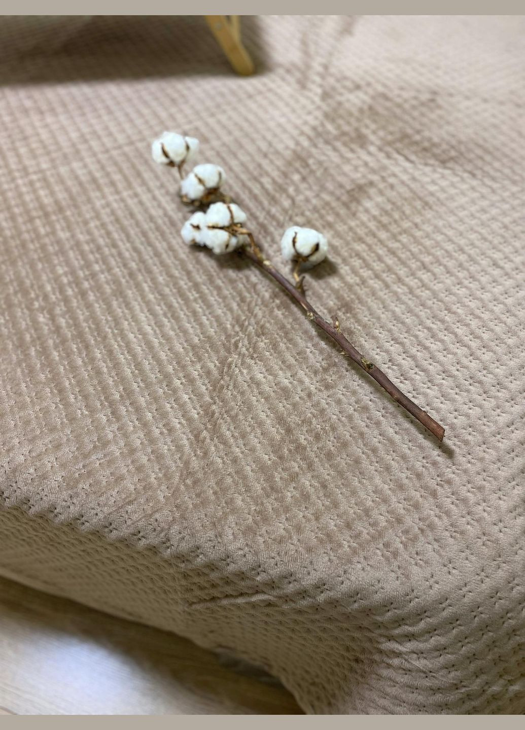 Покрывало Soty велюр евро 200х220 см Капучино No Brand (316714561)