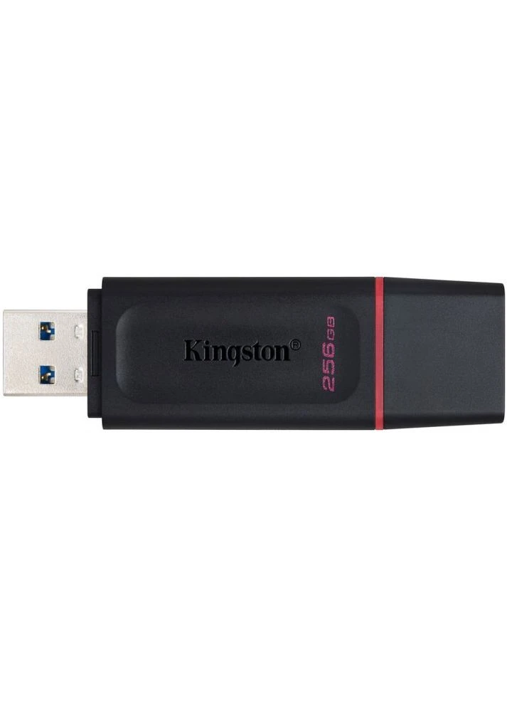 USB флеш-накопитель DataTraveler Exodia 256GB USB-A 3.2 Gen 1 Black/Pink (DTX/256GB) [66932] Kingston (399256704)