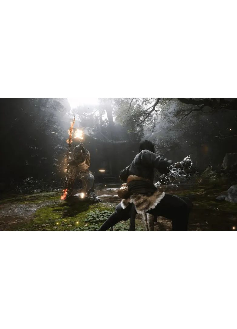 Гра консольна PS5 Black Myth: Wukong, BD диск Sony (362731896)