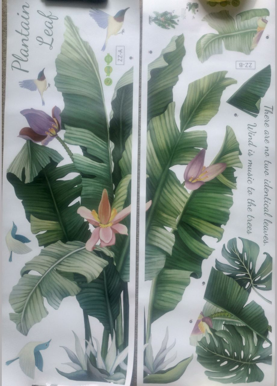 Вінілова інтер'єрна наклейка на стіну Бананове дерево яке квітне (лист 60 х 94 см) Б455-1 No Brand (302242510)