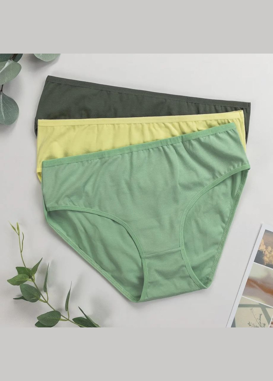 Трусики-слип женские тройки 3 шт Dominant (340462333)