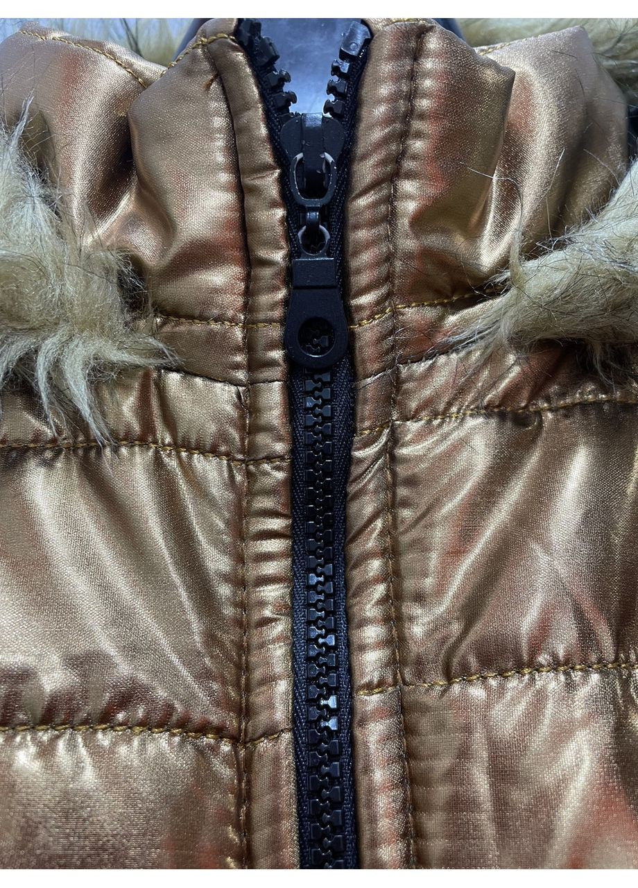 Золотиста куртка жіноча блискуча капюшон осіння 38 золото No Brand