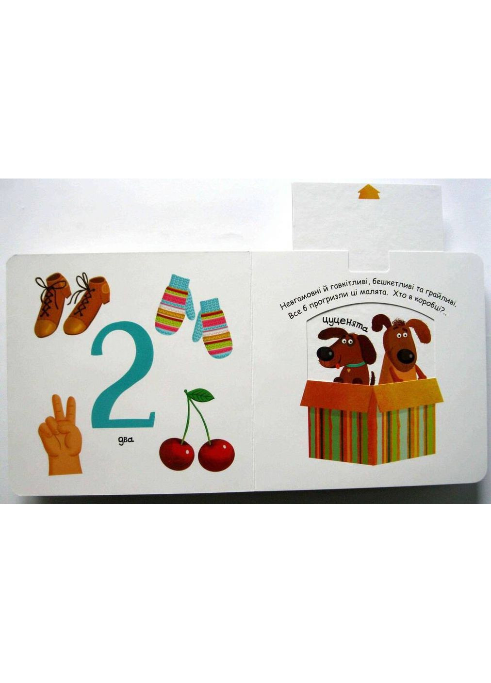 Веселі цифри. Сторінки цікавинки Видавничий дім "Школа" (370113740)