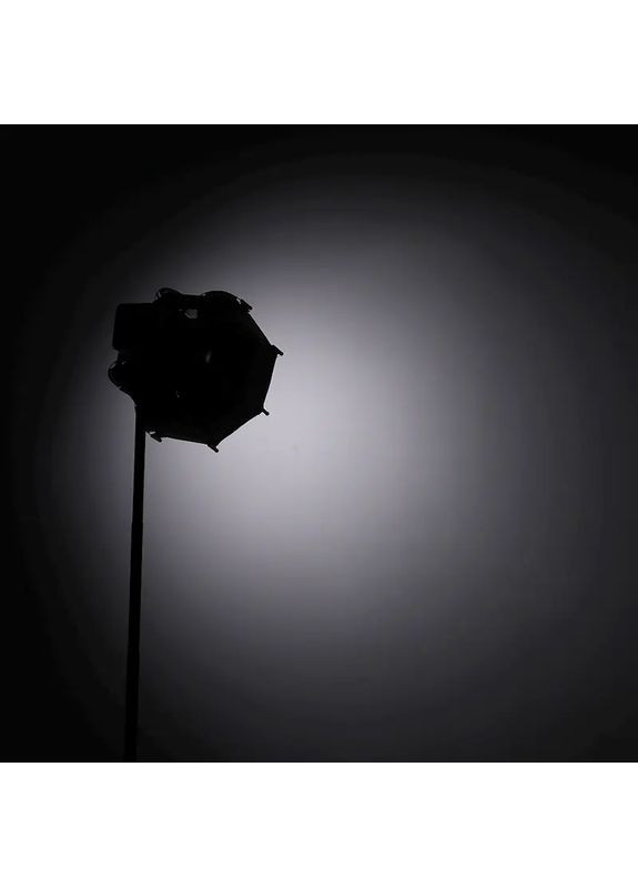 Софтбокс 30cm Octagonal Softbox with Mini Bowens Mount and Grid (UV-L083GBB1 AS-D30) (L083GBB1) Ulanzi AS-D30 Octagonal Softbox (372840768)