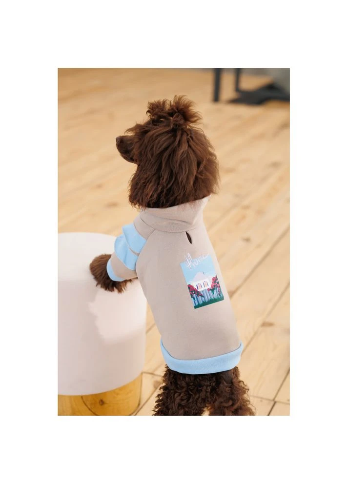 Худи Home девочка Pet Fashion (377872505)