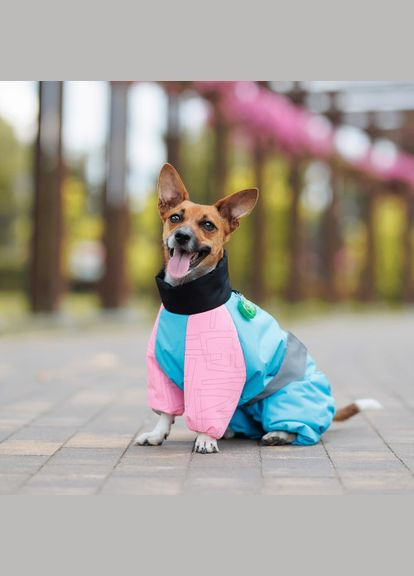 Комбинезон Milly девочка для собак (*) Pet Fashion (323153716)