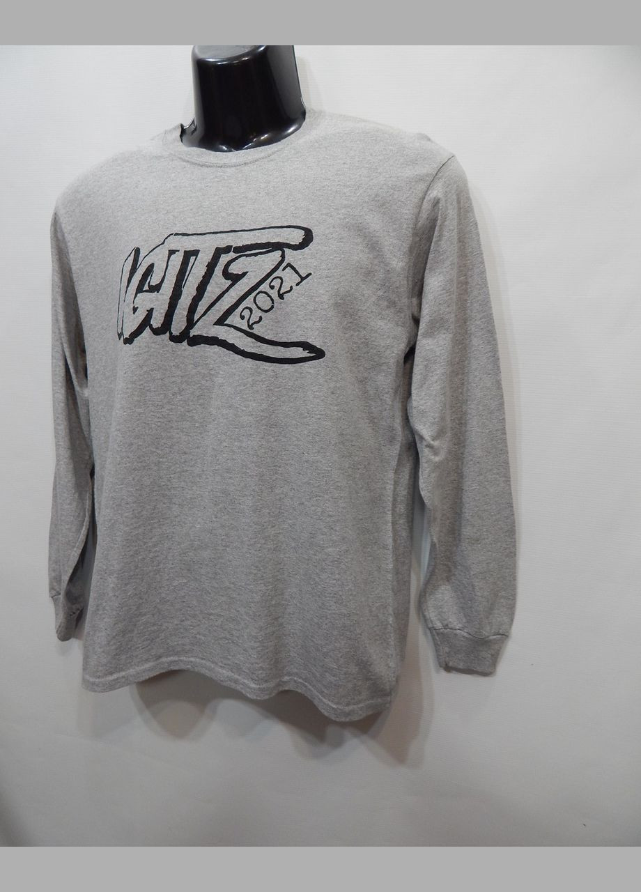 Футболка чоловіча з довгим рукавом р.48 026FMLN Gildan однотонний сірий повсякденні бавовна