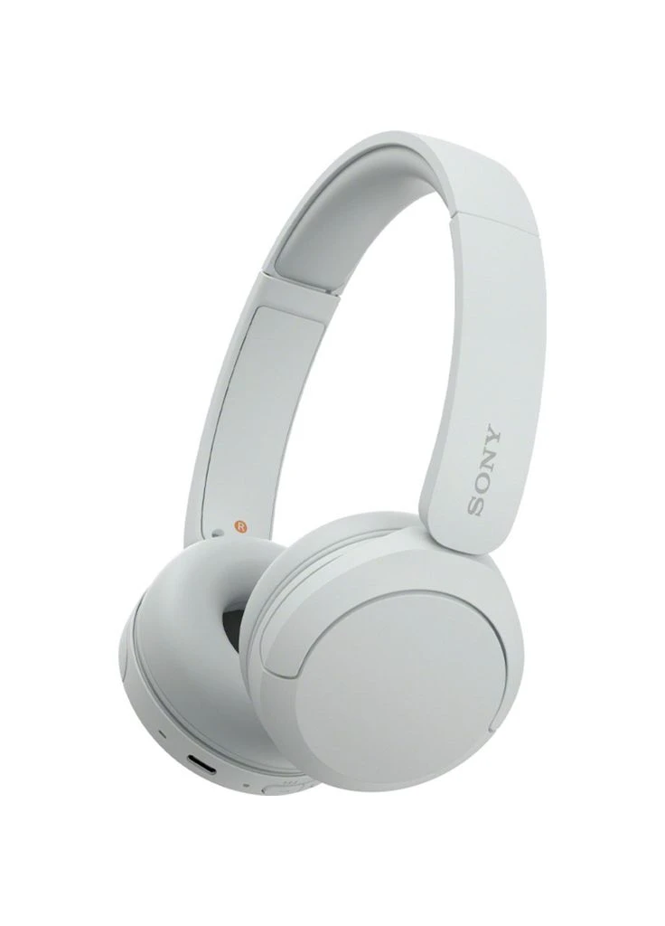 Навушники WH-CH520 White (WHCH520W.CE7) [97396] Sony (400987407)