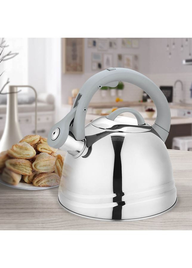 Чайник на плиту MR-1304 2.5 л сріблястий Maestro (362263786)