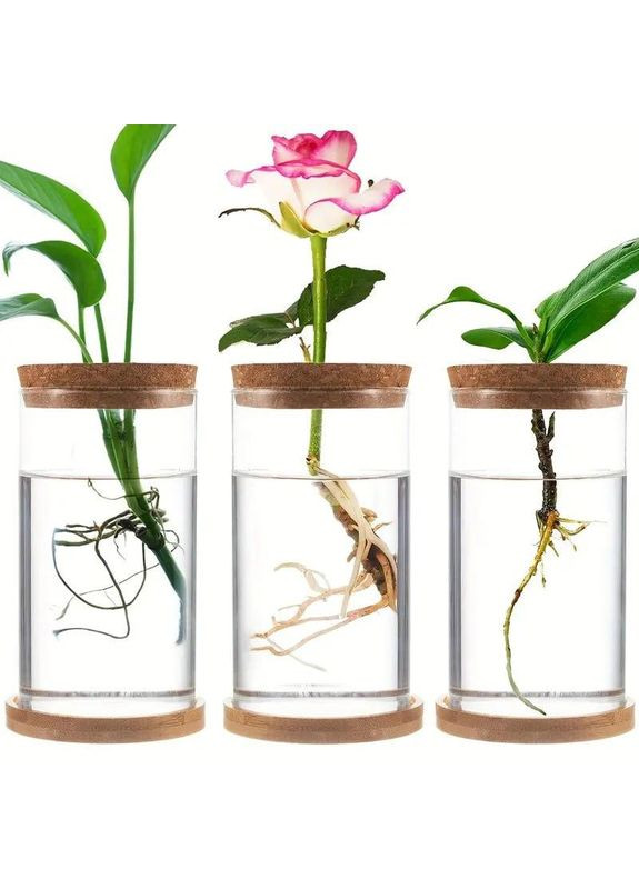 Ваза колба 3 шт. стеклянная, набор гидропонных ваз для укоренения и выращивания растений в воде с деревянной крышкой. No Brand (370290239)