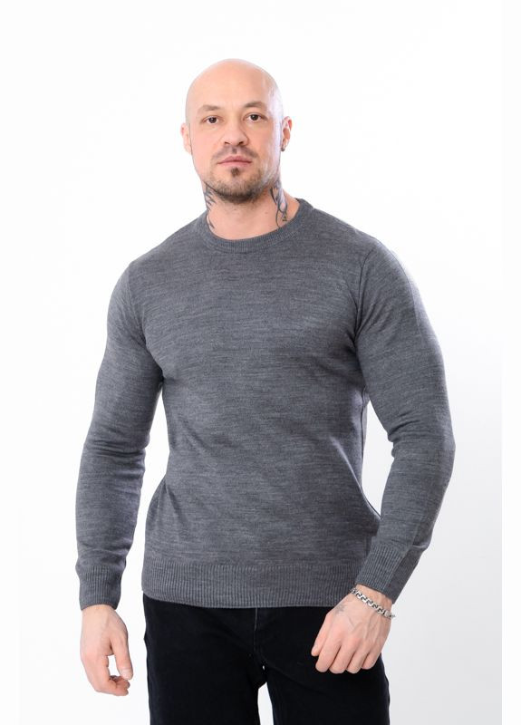 Сірий демісезонний джемпер чоловічий (p-16013) Носи своє