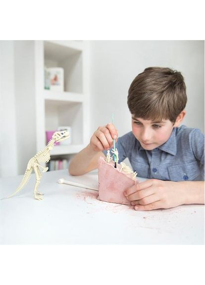 Набор для исследований Скелет трицератопса (00-03228) 4M (323116626)