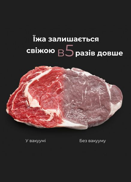 Вакуумный упаковщик VS2 AENO (337316811)