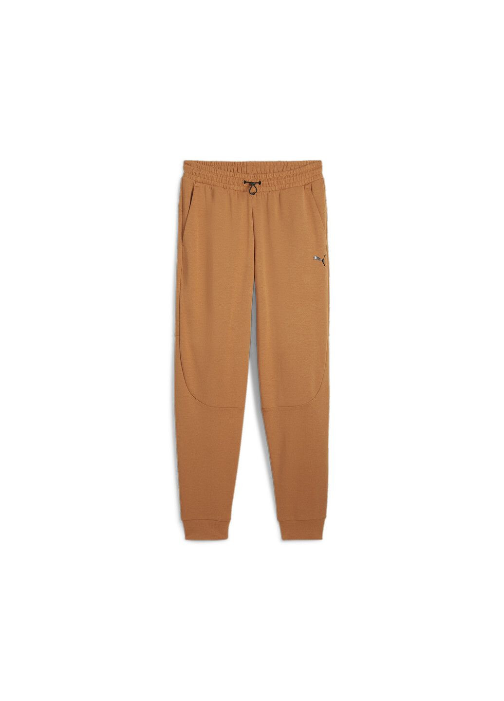 Бежевые спортивные демисезонные брюки Puma
