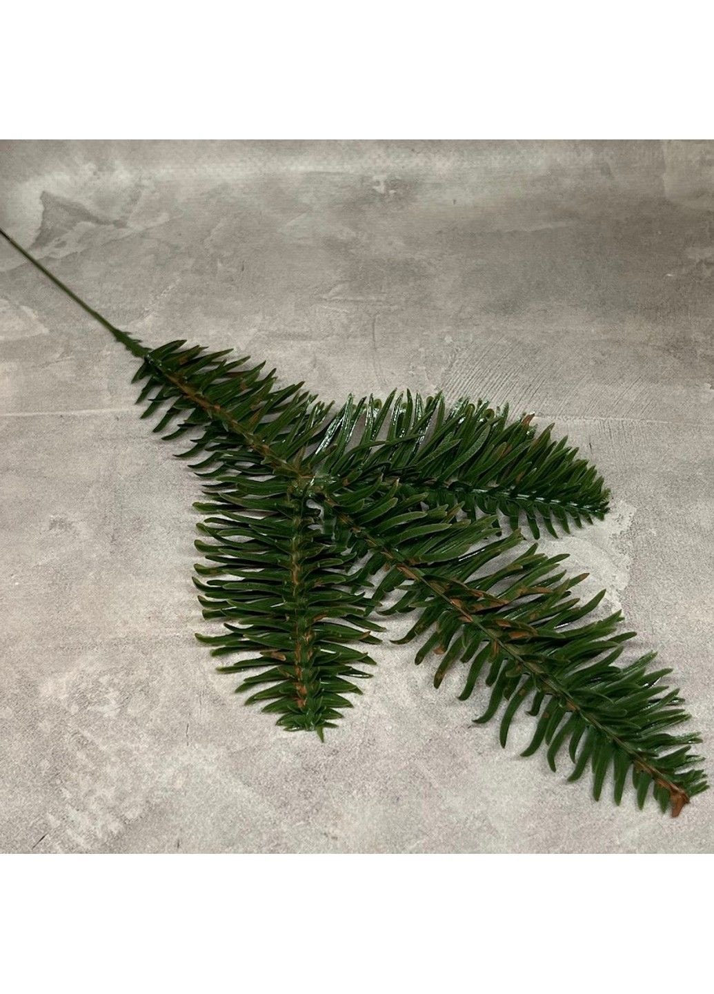 Декоративна хвойна гілочка, діаметр хвої-5,5 см, довжина гілки 20 см, зелений, 019068, 1 шт No Brand (362219152)