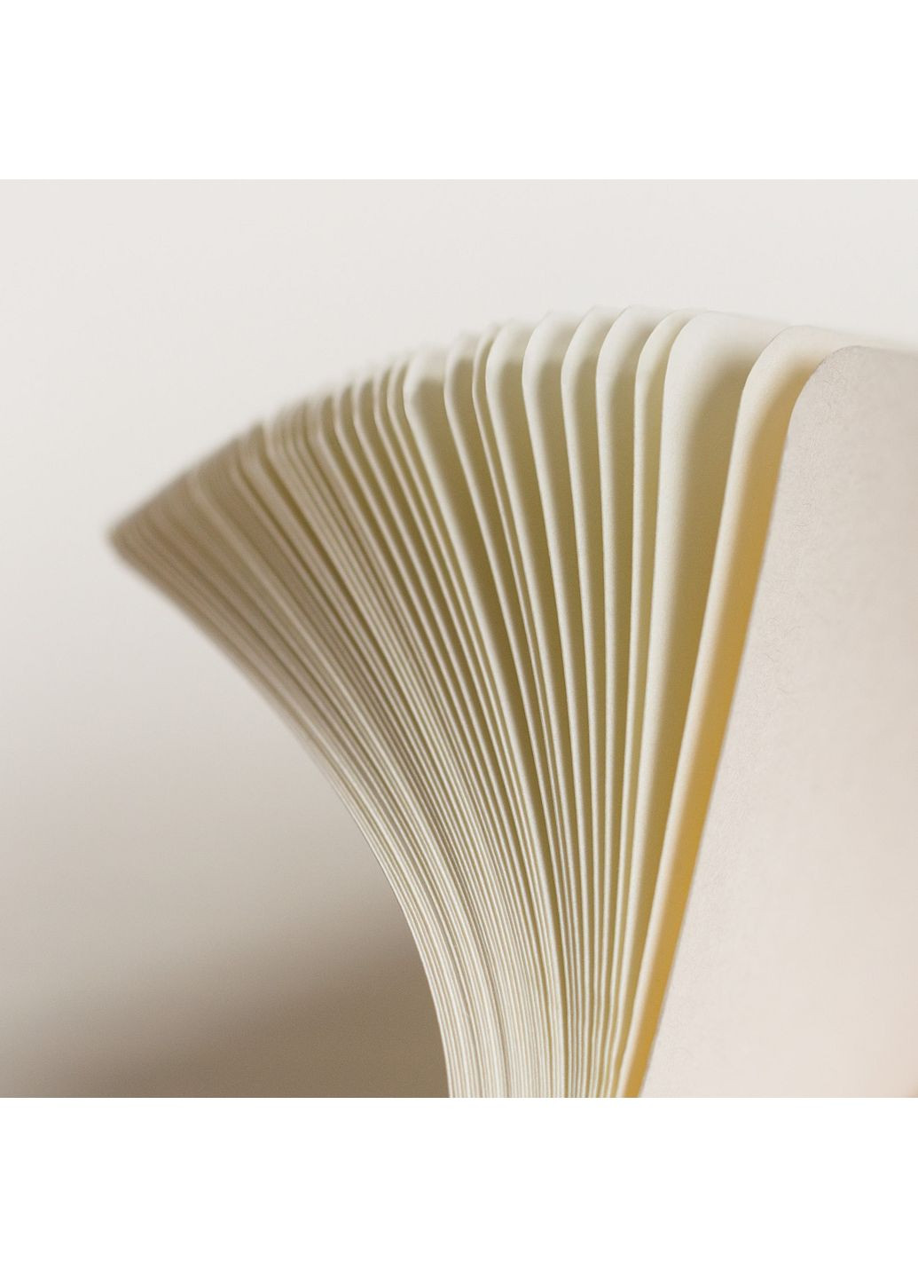 Блокнот Master Classic A4+, чорний, клітинка Leuchtturm1917 (270949195)