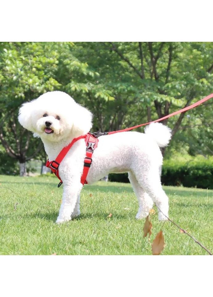 Шлейка та повідець для собак і кішок No Brand (362136173)