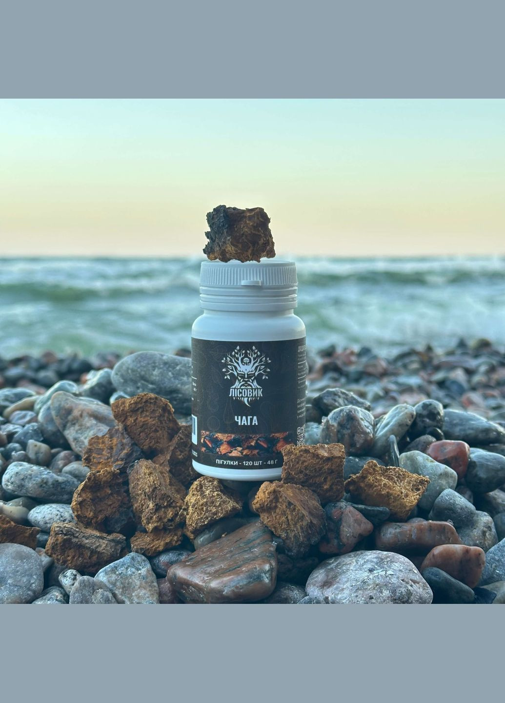 Чага березова, пігулки 120 шт по 0.4 г Лісовик (334292823)