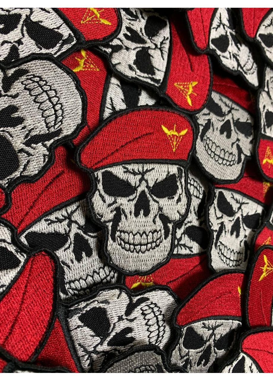 Шеврон череп ДШВ (форма контурная. На липучке) Размер 8x6см No Brand (369924546)