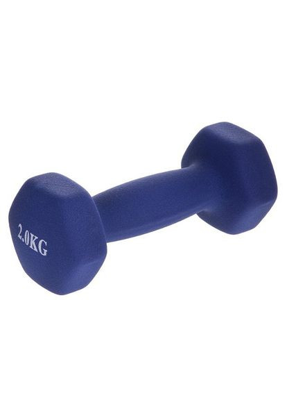 Гантелі для фітнесу TA-0001 2кг (пара), (56508033) FDSO (322732619)