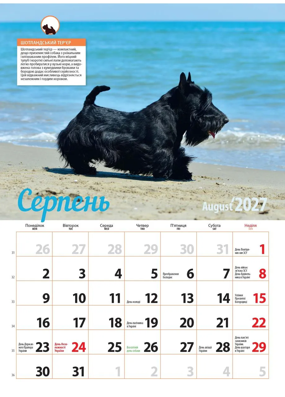 Календар 2027 Породи собак (Breeds of Dogs) із серії Світовид Видавництво «Діана плюс» (411054089)
