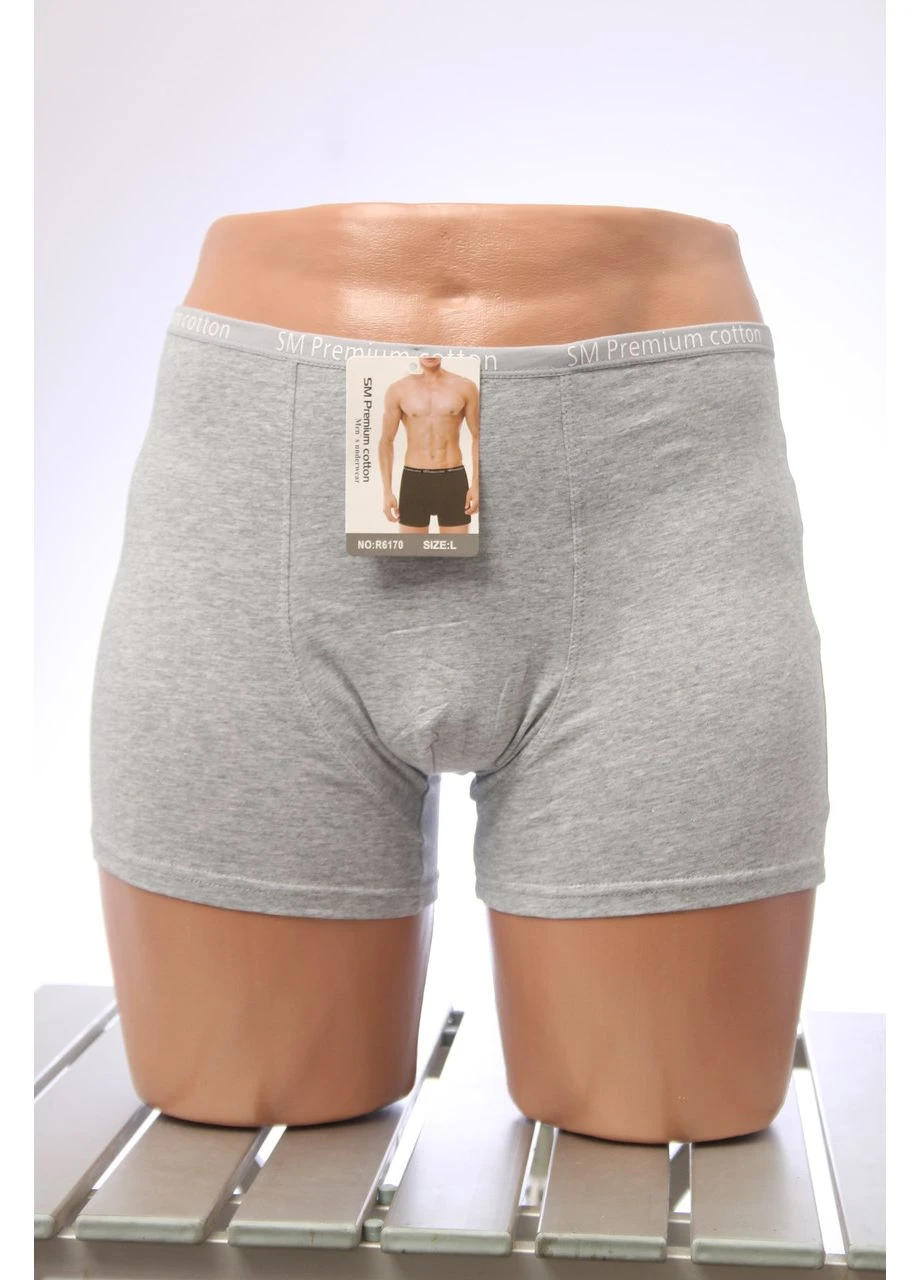 Трусы мужские 2XL боксеры серые хлопковые гипоаллергенные No Brand (391487795)