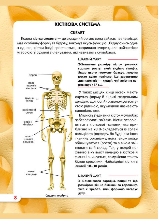 Світ навколо нас. Тіло людини Кристал Бук (316083420)