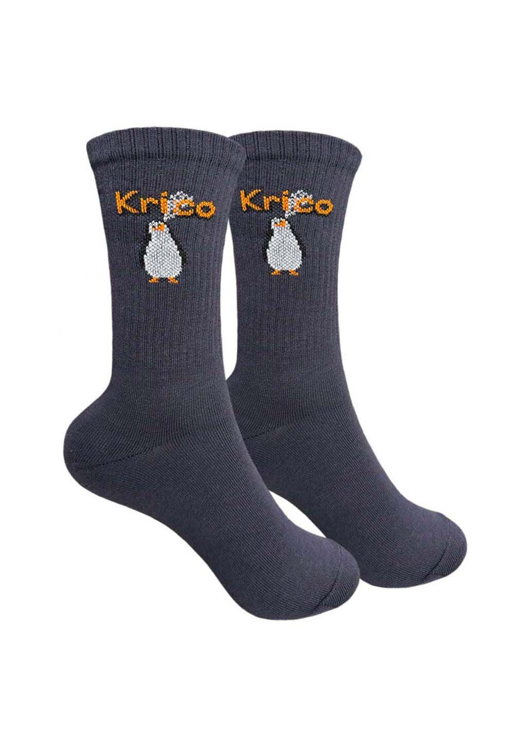 Комбіновані шкарпетки жіночі 1and1 (348467241)