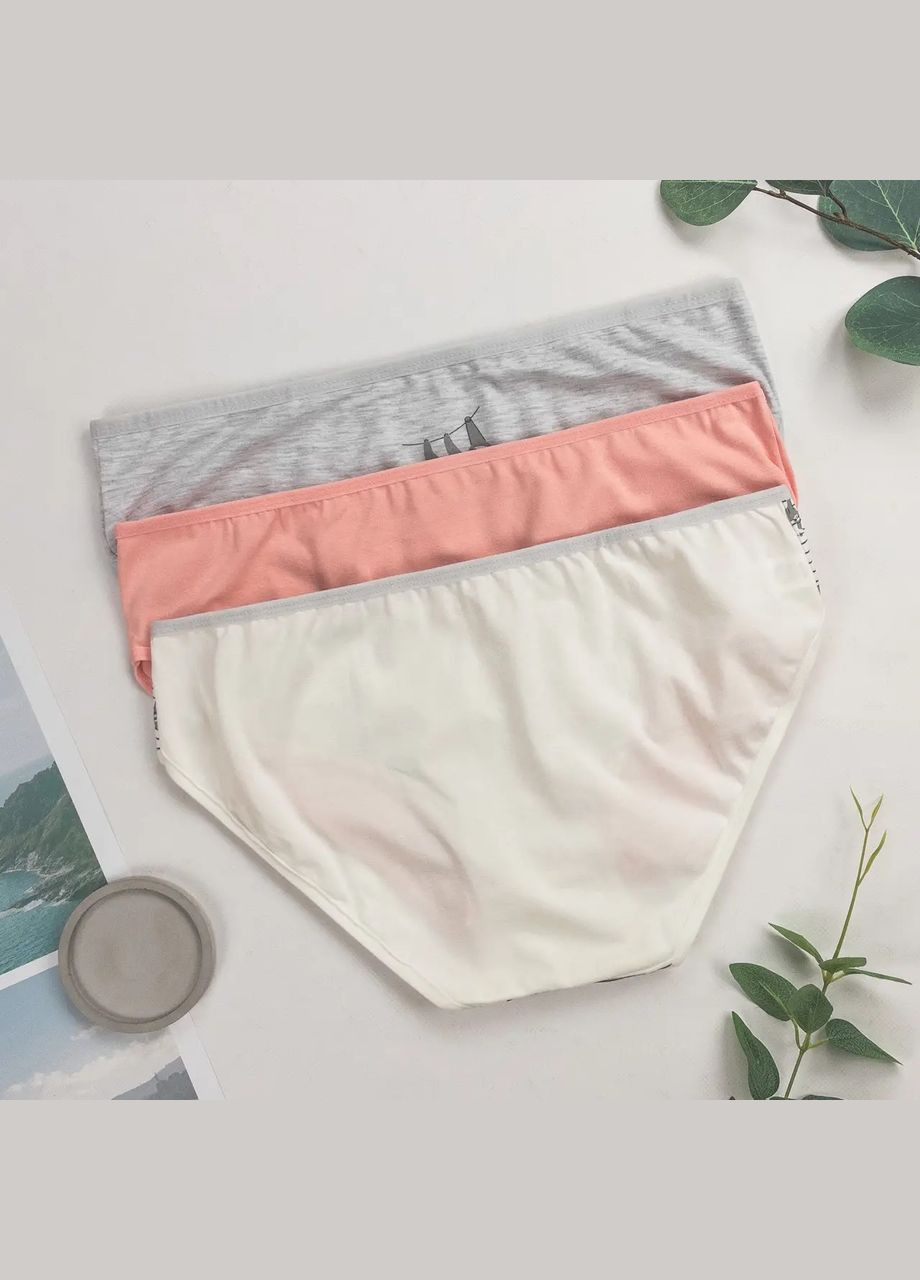 Набор трусиков женских брифы тройки 3 шт Dominant (326487809)