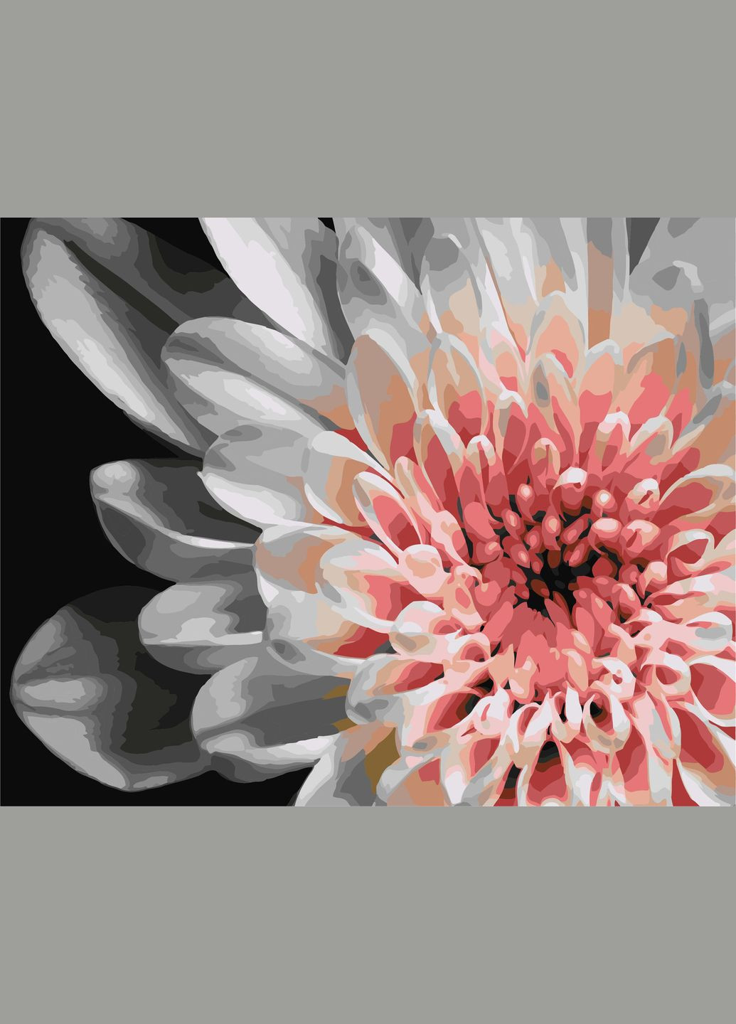 Картина за номерами Біло-рожеві жоржини Картини розфарбування по номерах квіти 40х50 Розпис за номерами на полотні 30500 Origami (322149390)