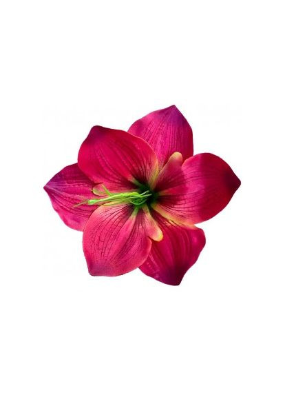 Амариллис, упаковка 50 шт Пластмакс (372837997)