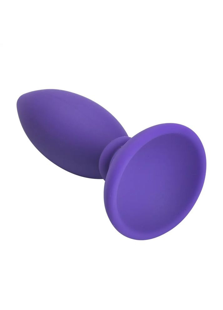 Анальний корок STIX 2,5 см силіконовий на присосці Фіолетовий No Brand (303893001)