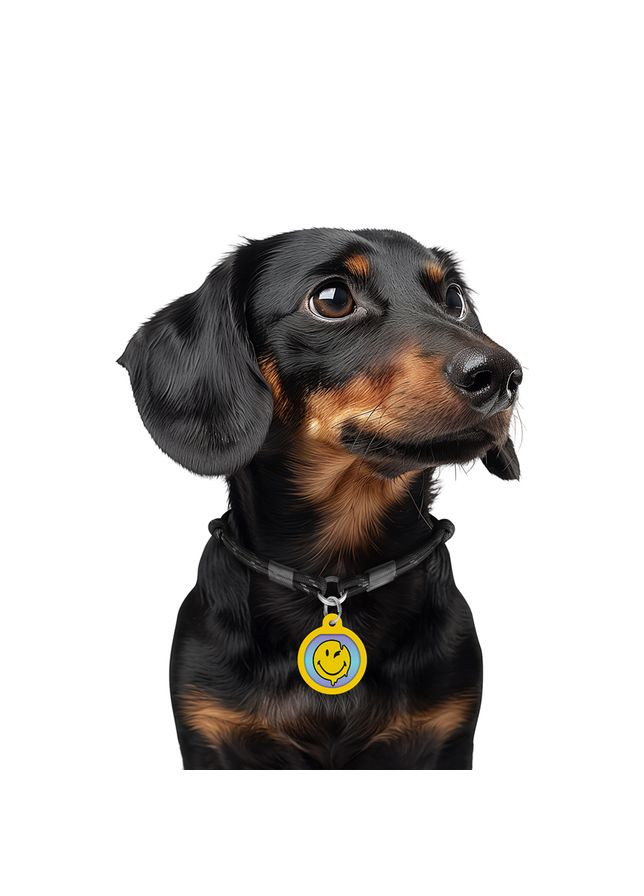 Адресник для собак і котів металевий Smart ID c QR паспортом, малюнок «Смайли на блакитному», коло, Д 25 мм WAUDOG (330245283)
