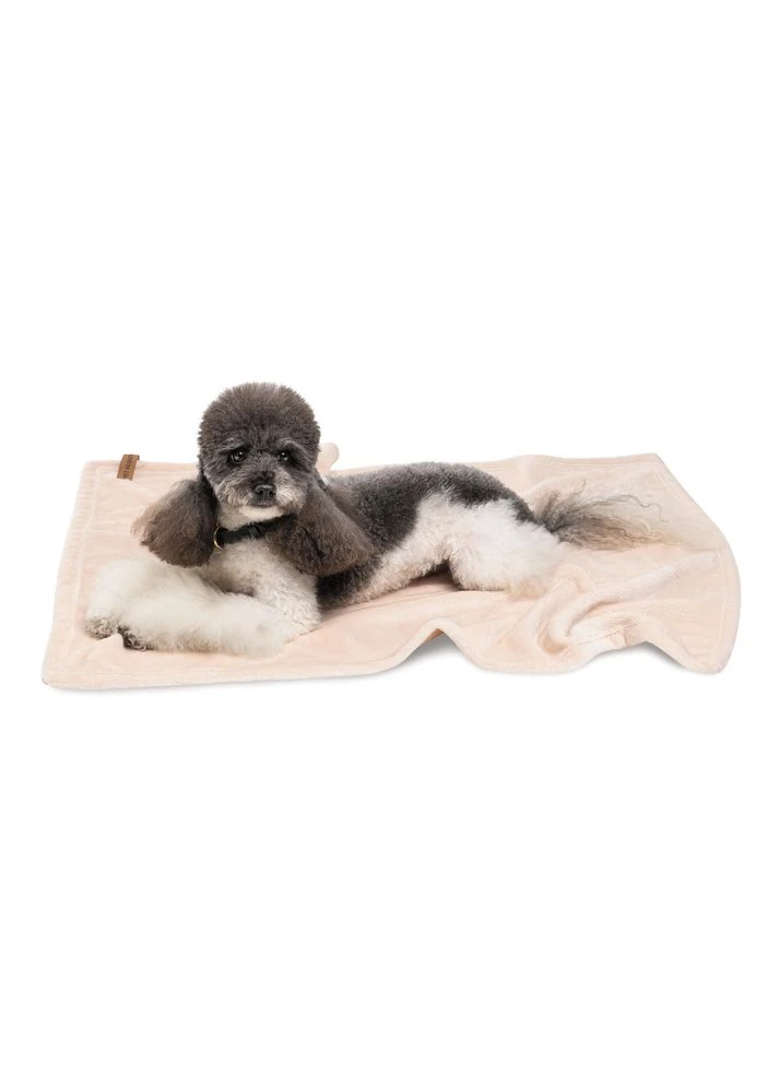 Лежак для собак Плед Bliss 2 і котів плюш пудра 6 см Pet Fashion (399750242)