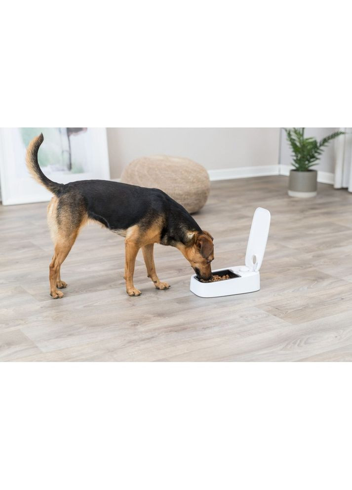 Автоматическая кормушка TX1 для корма, 13х7х24 см, 300 мл Trixie (355255646)